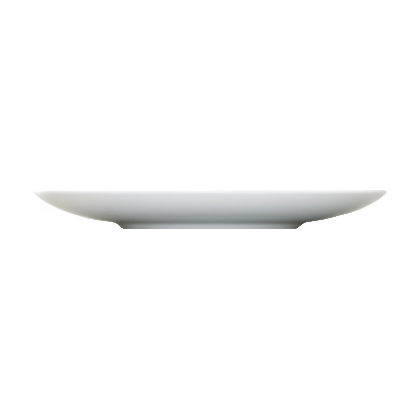 Bauscher Purity Reflections 6691266 Teller flach rund coup Relief seitlich