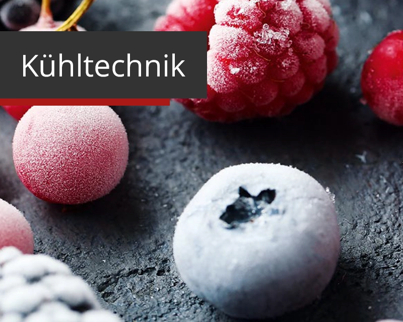 Startseiten Kategoriebild Kuehltechnik